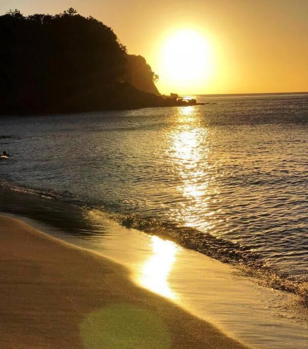 Caraibes Cottage Grenat Piscine Privee 900M De Grande Anse Deshaies Εξωτερικό φωτογραφία