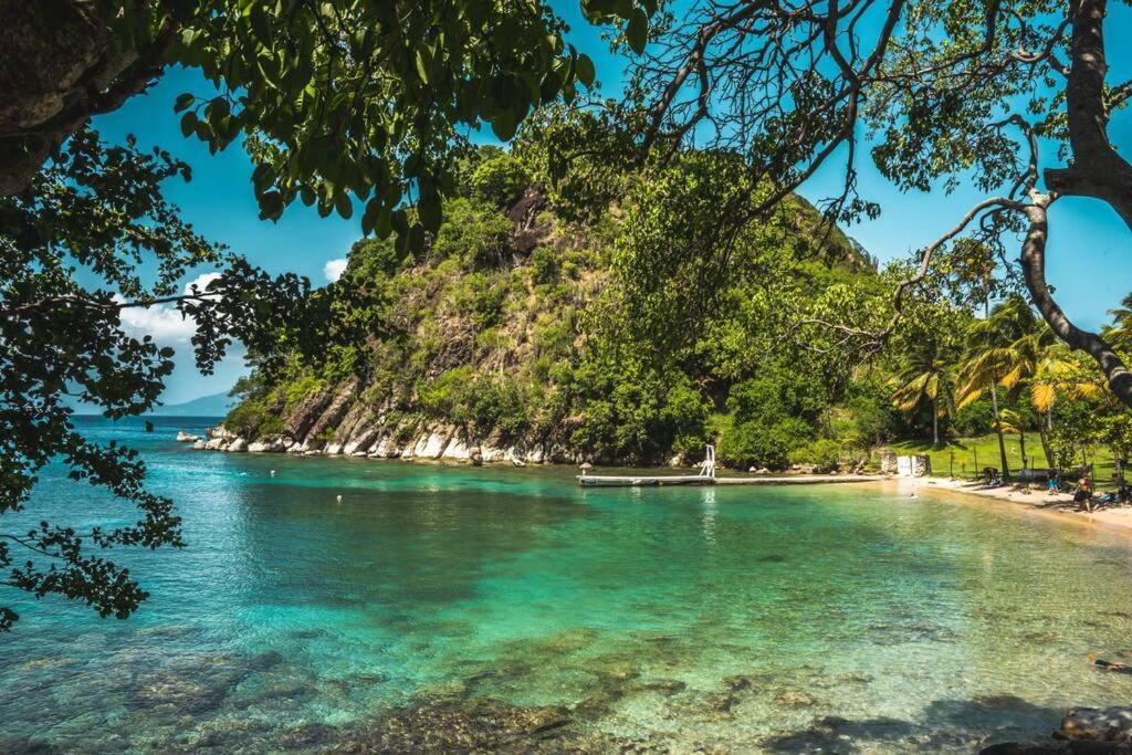 Caraibes Cottage Grenat Piscine Privee 900M De Grande Anse Deshaies Εξωτερικό φωτογραφία