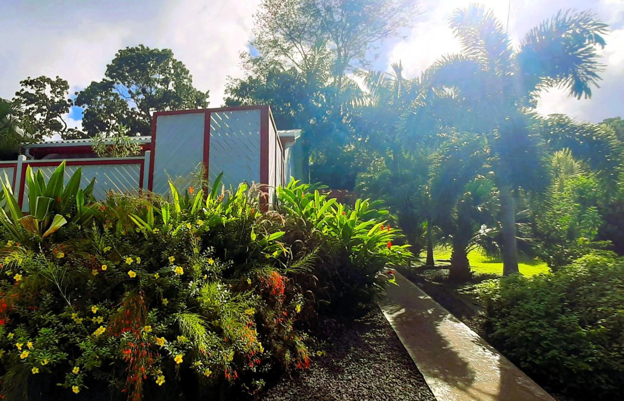 Caraibes Cottage Grenat Piscine Privee 900M De Grande Anse Deshaies Εξωτερικό φωτογραφία