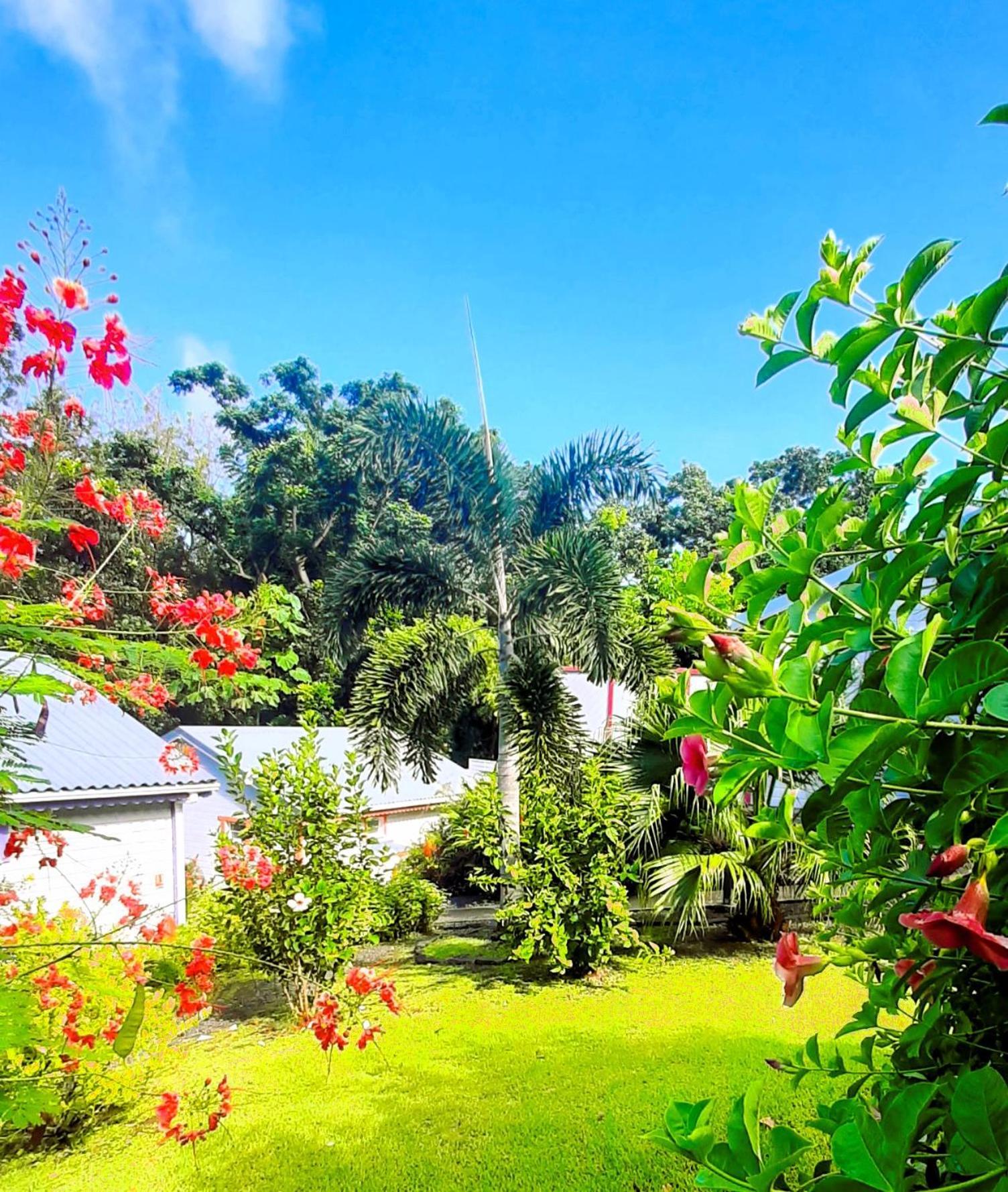 Caraibes Cottage Grenat Piscine Privee 900M De Grande Anse Deshaies Εξωτερικό φωτογραφία